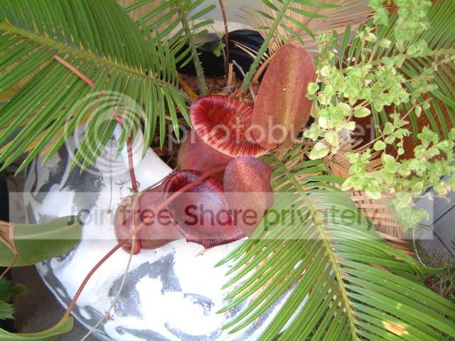 newpics023.jpg