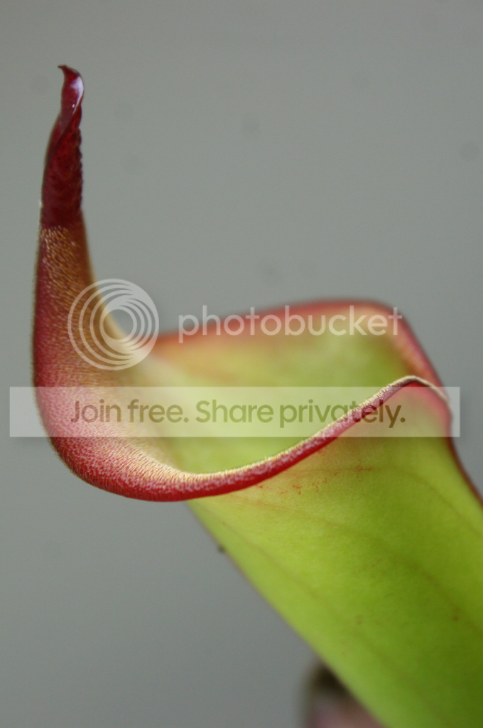 IMG_5750_zps47f5a4d8.png