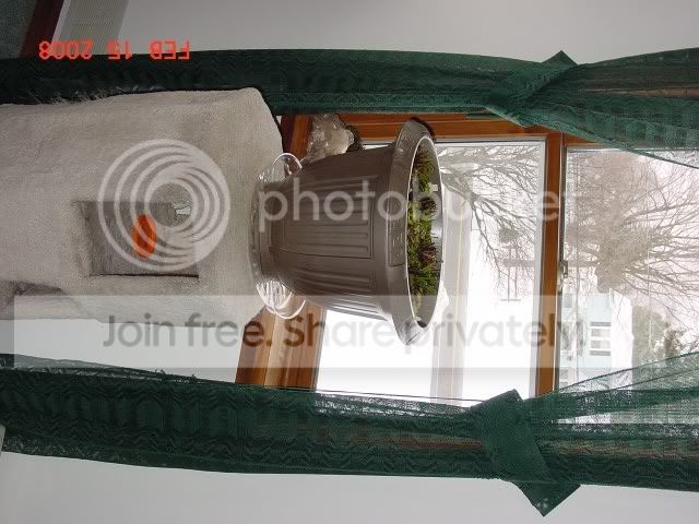 CP2008-012.jpg