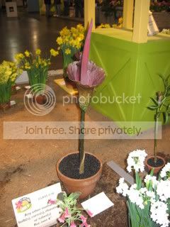 IMG_7096.jpg