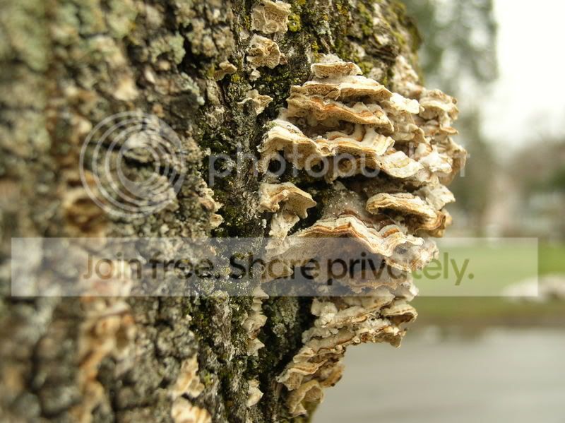DSCN3222.jpg