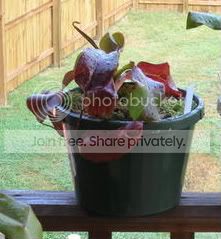 DSCN14112.jpg