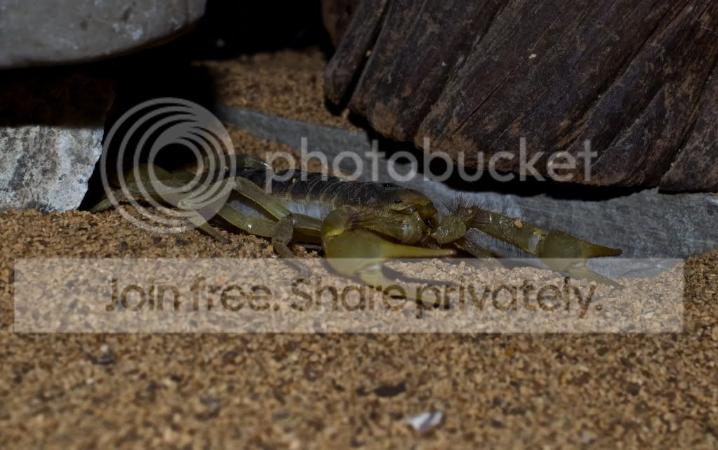 DSC_0036.jpg