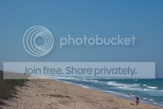 Beachday2032.jpg