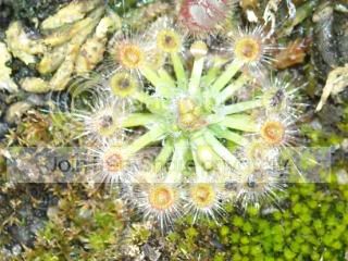 DSCN0428-1.jpg