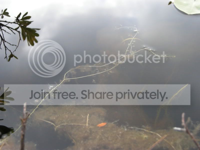 DSCN6152.jpg