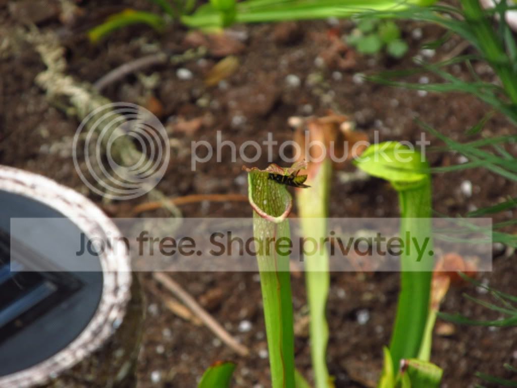 IMG_7988.jpg