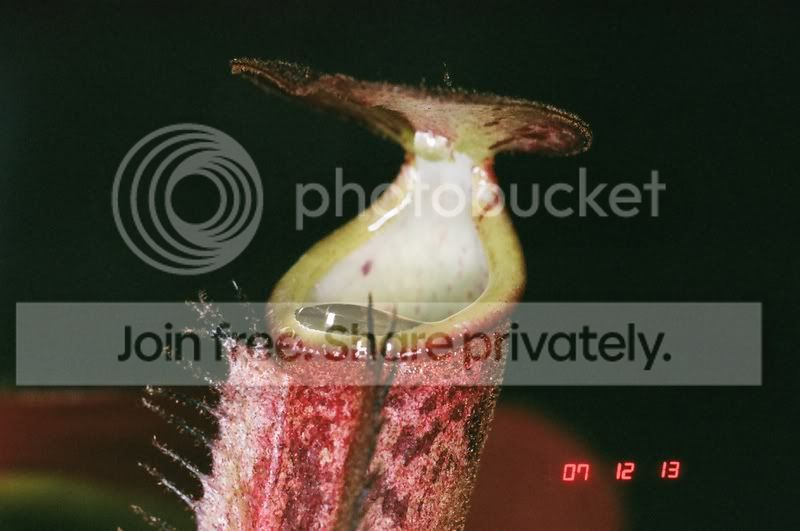 01890010.jpg
