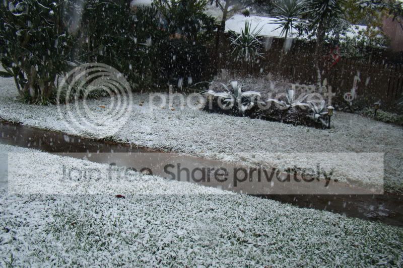 088.jpg