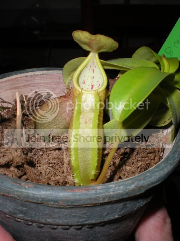 DSCN8164.jpg