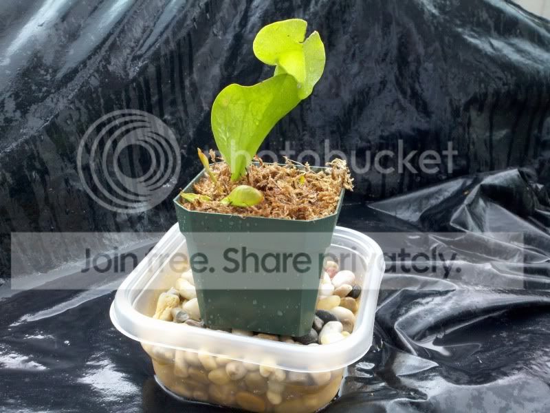 2011-04-24_15-11-24_472.jpg