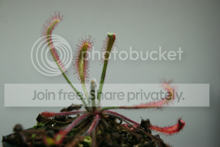 IMG_5742_zpscb88e891.png
