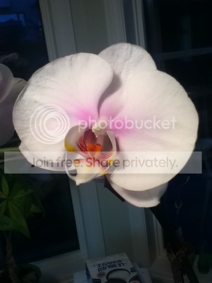 photo-14.jpg