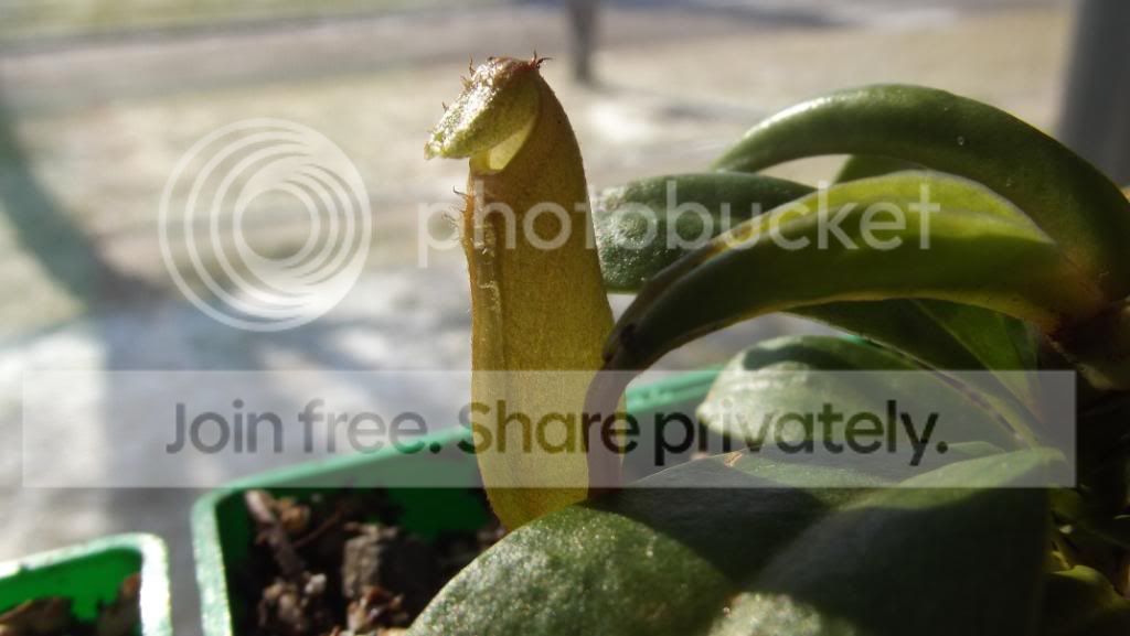 DSCF0172.jpg