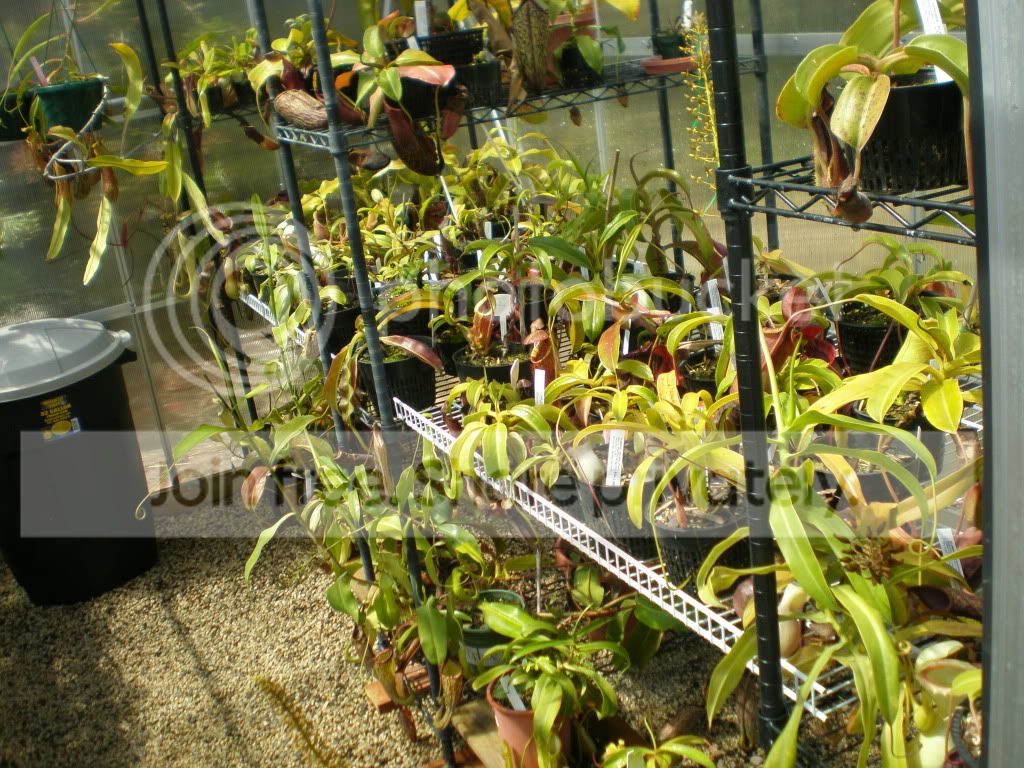 Dugginshalfgreenhouse.jpg