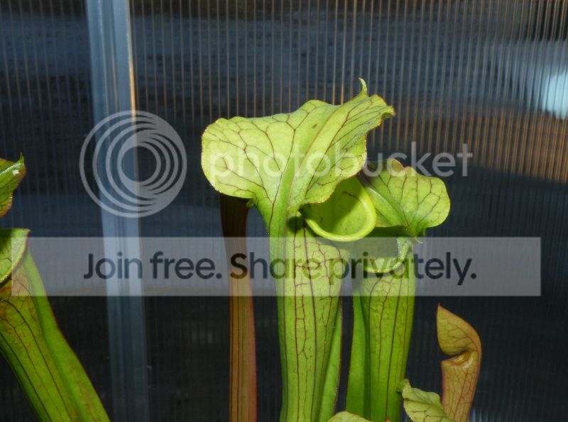 DSCF9637.jpg