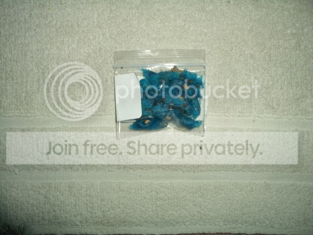 IMGP6613.jpg