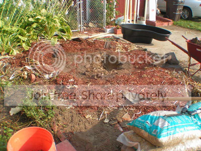 PICT1023.jpg