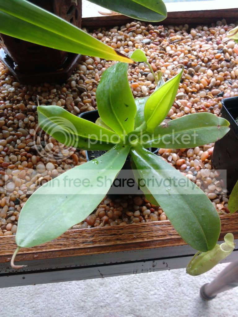 2011-07-14124428.jpg