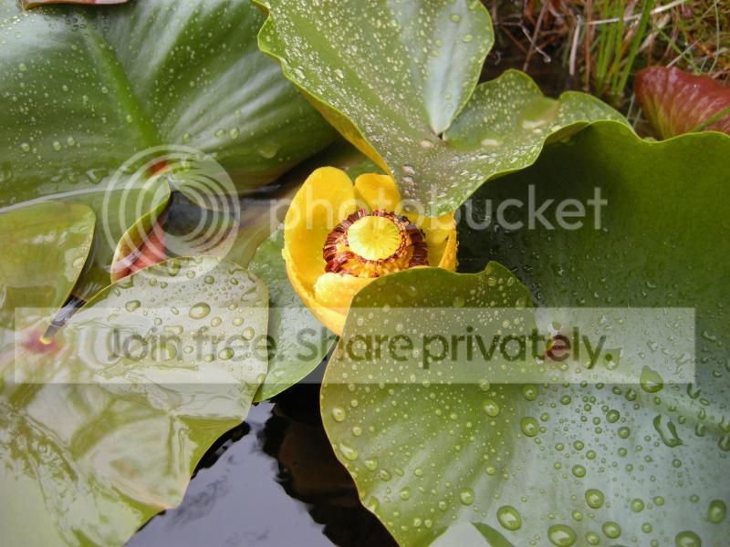 DSCN7551.jpg