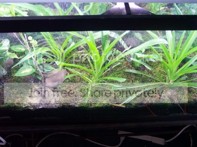 100_1401.jpg