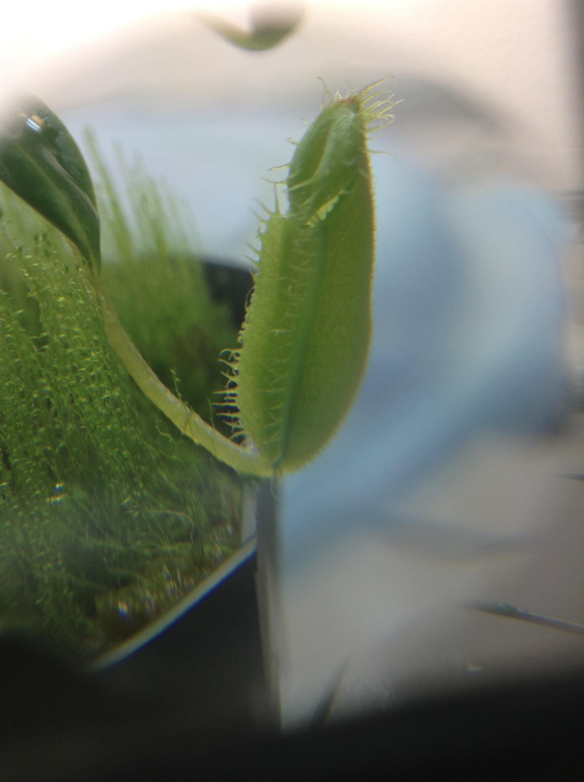 C1Hki1d.jpg