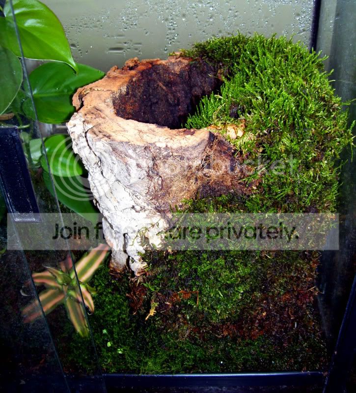 100_2070.jpg