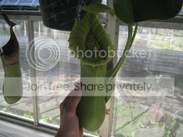 IMG_1664.jpg