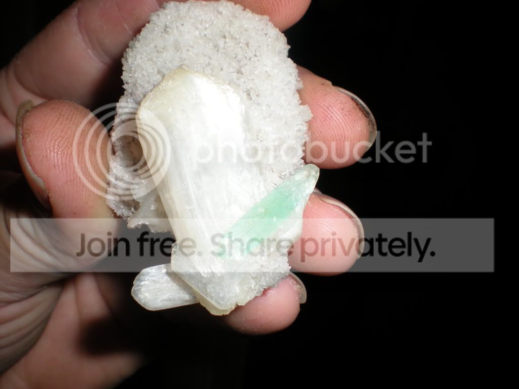 DSCN7093.jpg