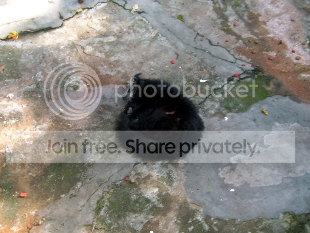 100_5742.jpg
