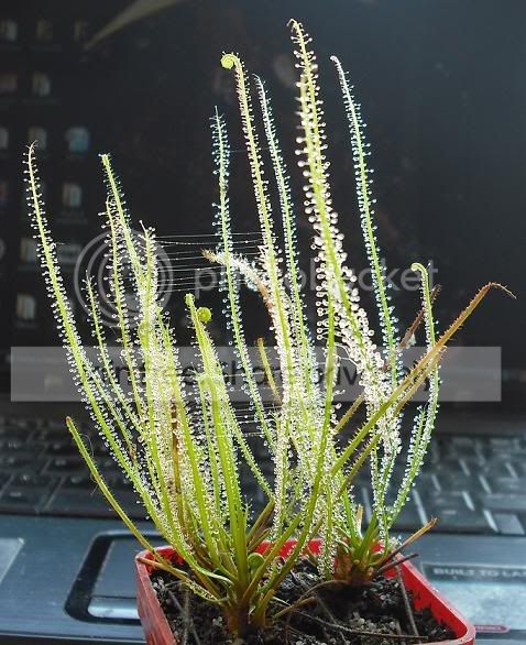 DSCF0076.jpg