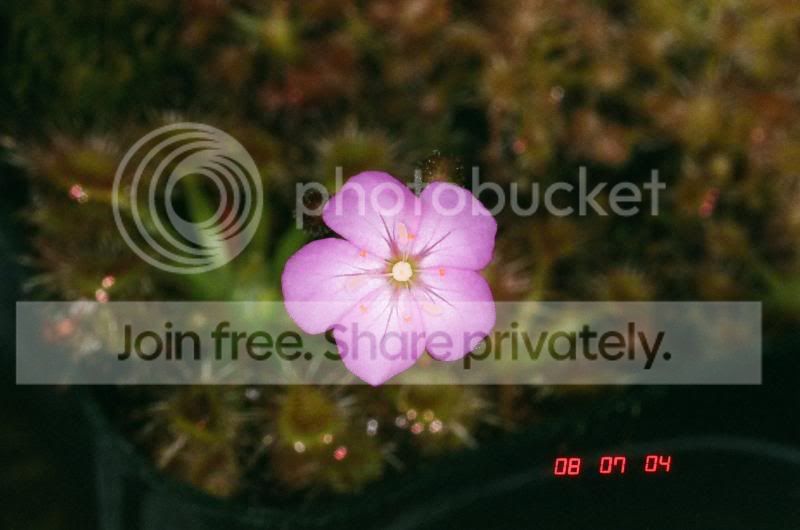 01370013.jpg