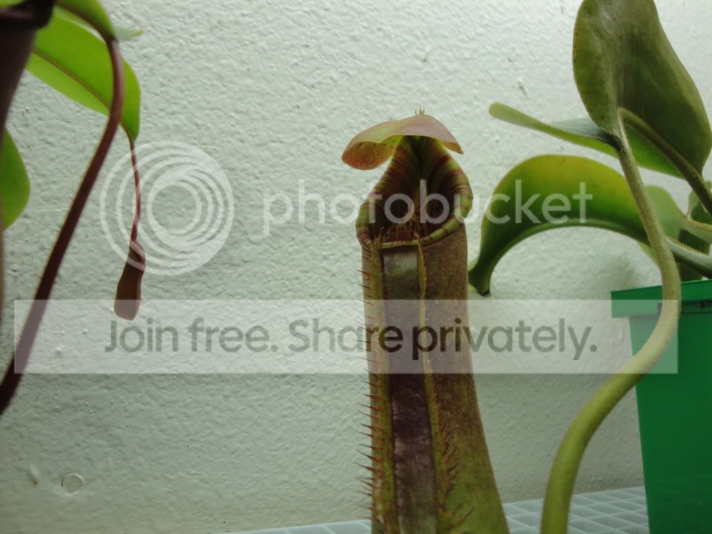 DSC03575.jpg
