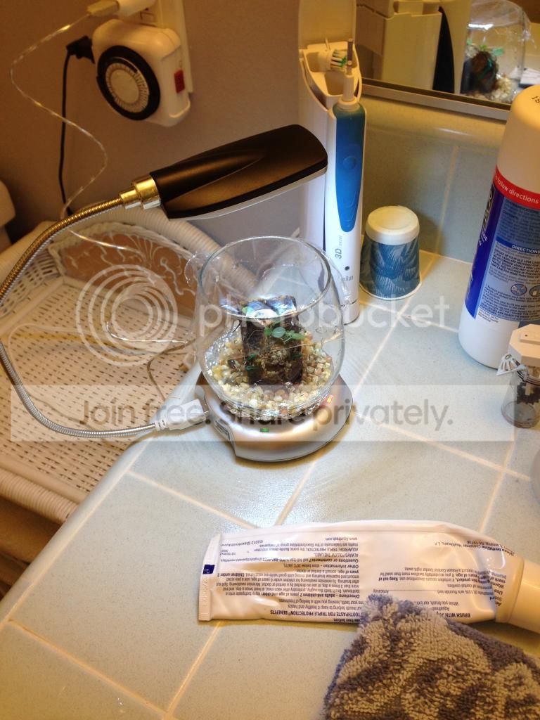 image_1_zpse065e474.jpeg