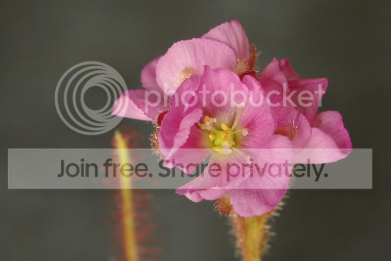 _IGP0134a.jpg