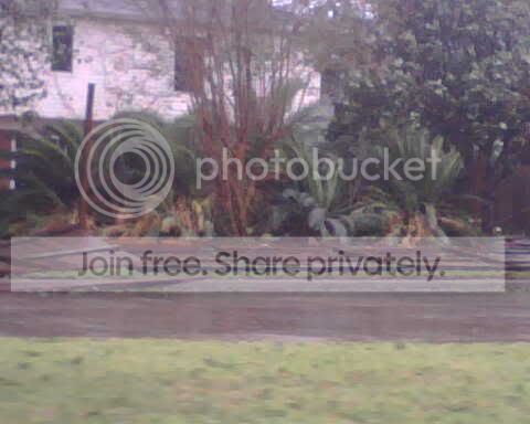 IMG00540.jpg