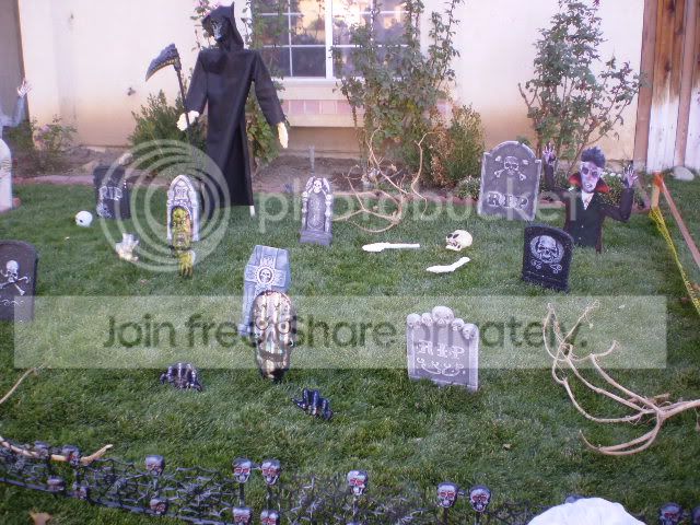 PA310006.jpg