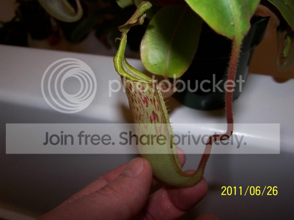 100_4720.jpg
