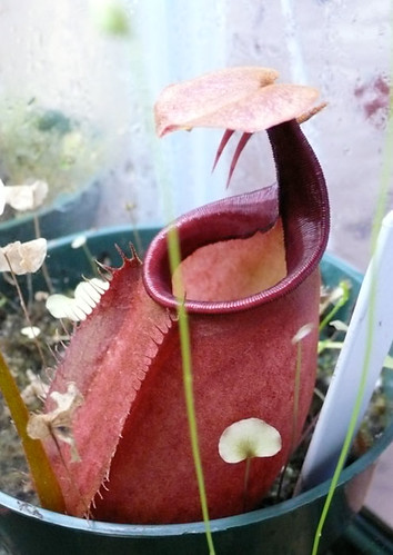 512789702_76997989e8.jpg