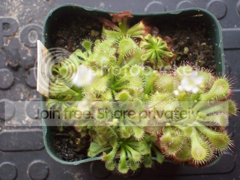 100_8472.jpg