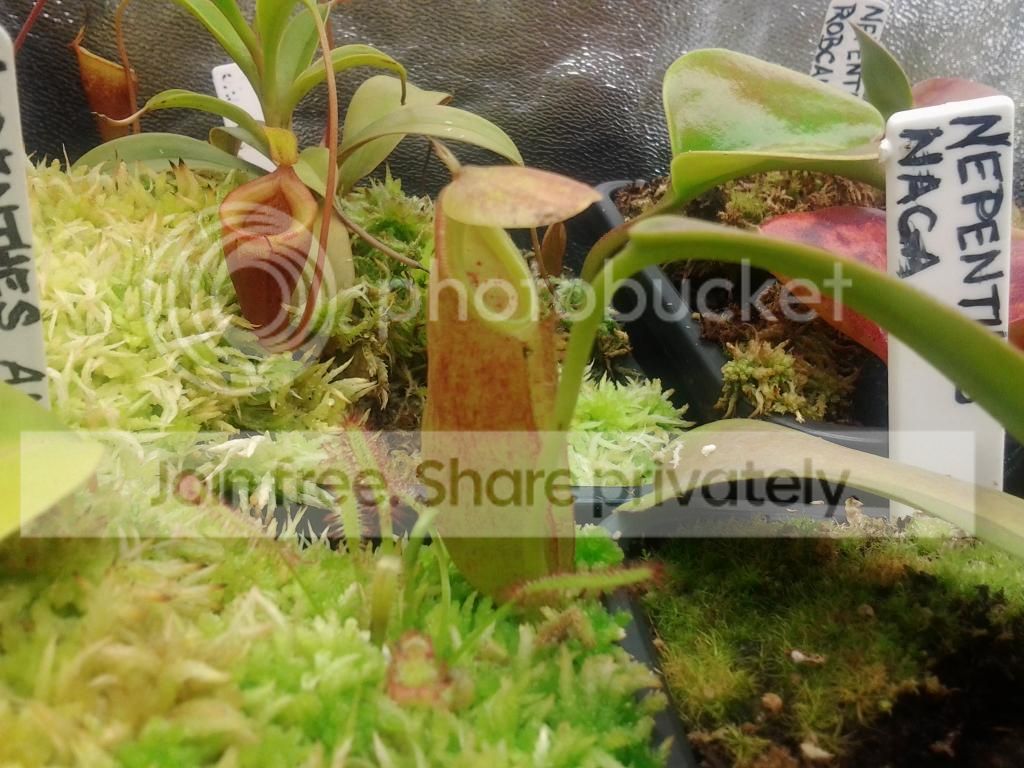 20121226_174357.jpg