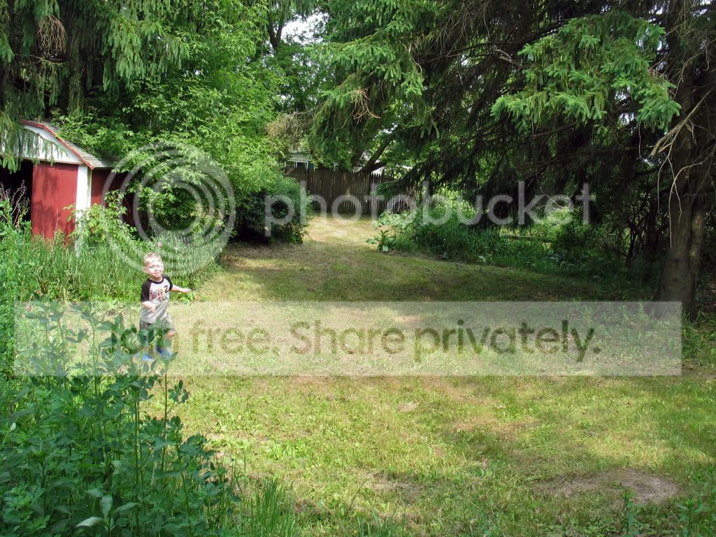 IMG_2103.jpg