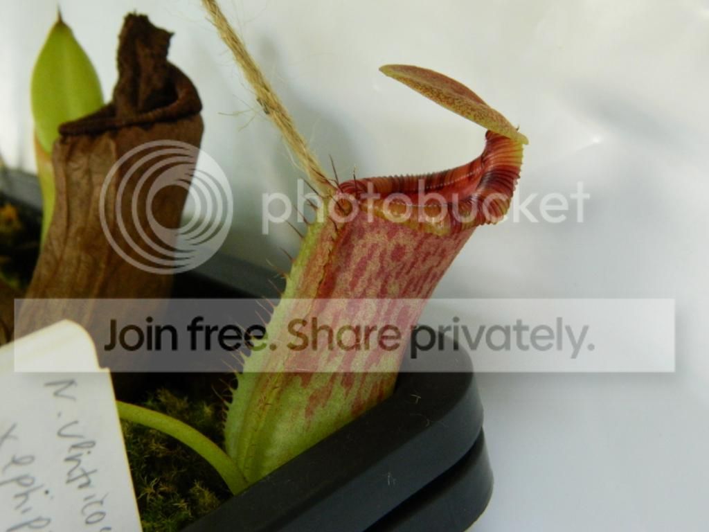 DSCN1592.jpg