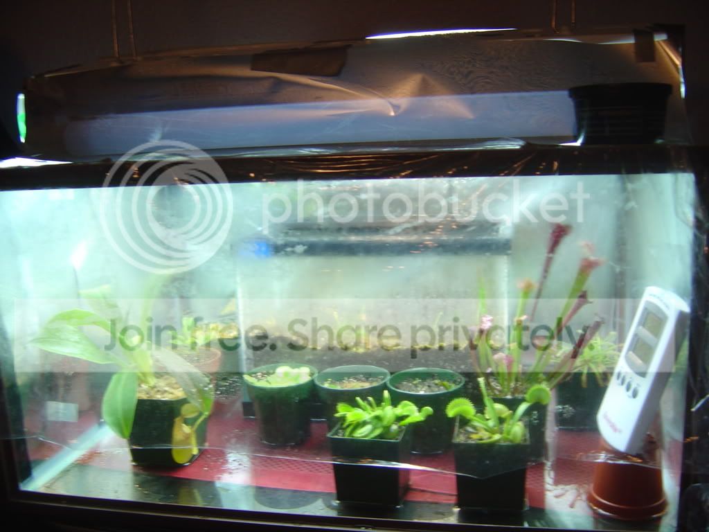 Terrarium002.jpg