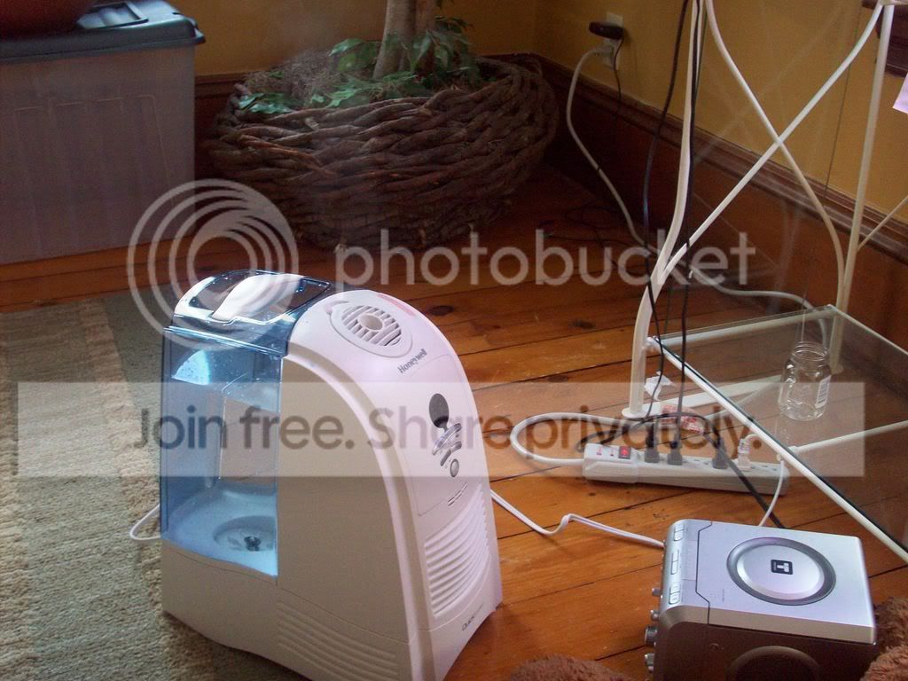 100_0140.jpg