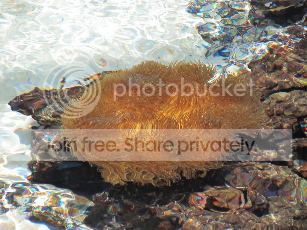 IMG_5736.jpg