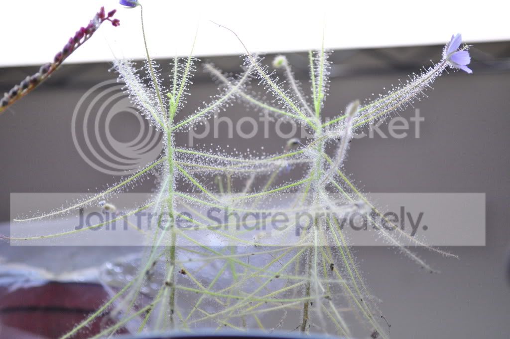 DSC_0357.jpg
