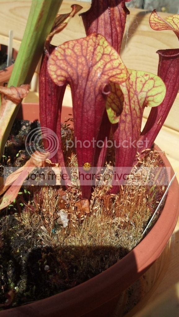 2012-07-29_16-22-46_51.jpg