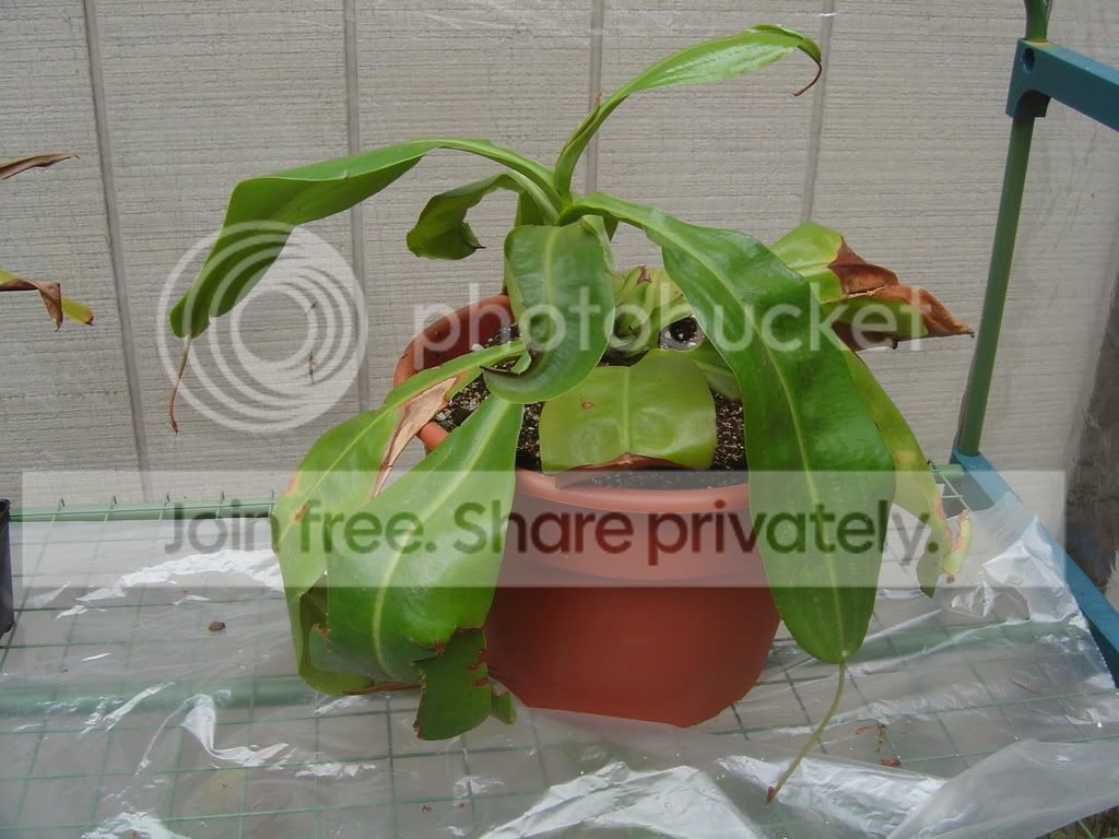 CPs7-30-08012.jpg