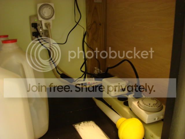CPs070.jpg